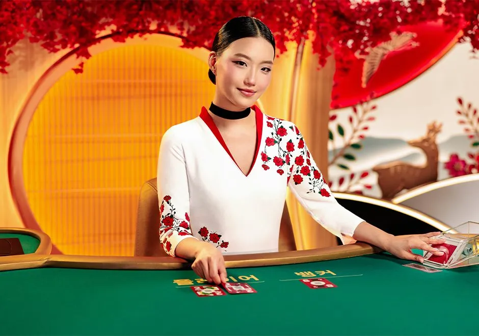 Pragmatic Play Seotda Baccarat 官方花鬥牌面產品圖